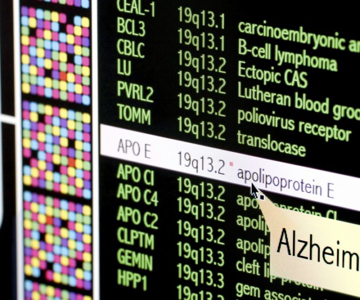 Genomic mapping of APO E, one of the markers for the Alzheimer syndrome.
Inspector: I am the author of the original scientific figure that outputs this publicly available knowledge about AS.